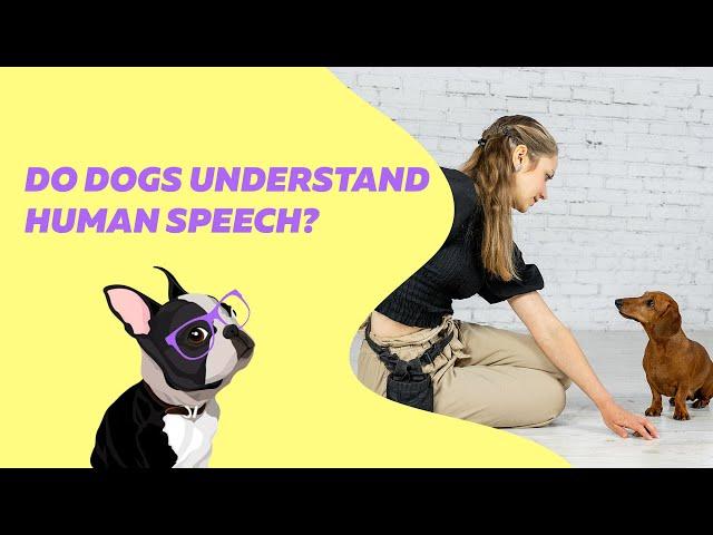 Do Dogs Understand Human Speech? | EveryDoggy