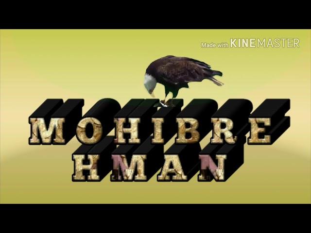 3D mohibrehman
