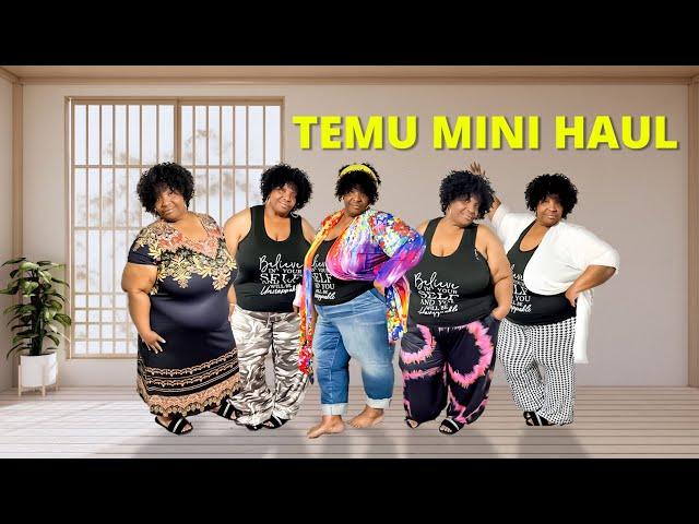 Temu Mini Plus Size Haul Hit & Missed