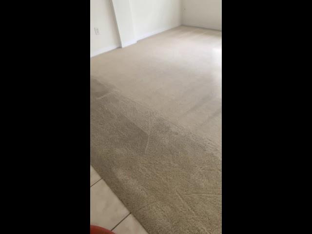 carpet cleaning land o lakes