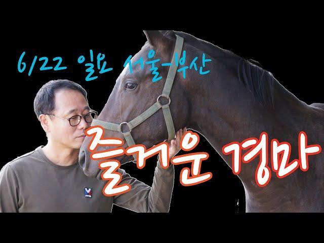 김호경마 6월 22일 일요일 서울-부산 경마방송!