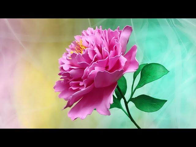 ABC TV | How To Make Peony Paper Flower From EVA Foam - Craft Tutorial