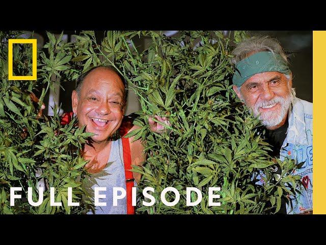 Legal Marijuana in America: The New Green Rush (Full Episode) | Nat Geo Investigates