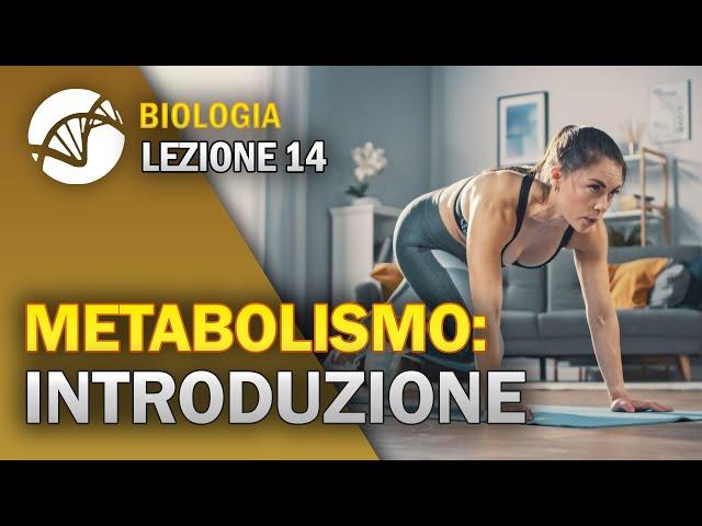 BIOLOGIA - Lezione 14 - Metabolismo Cellulare: Introduzione