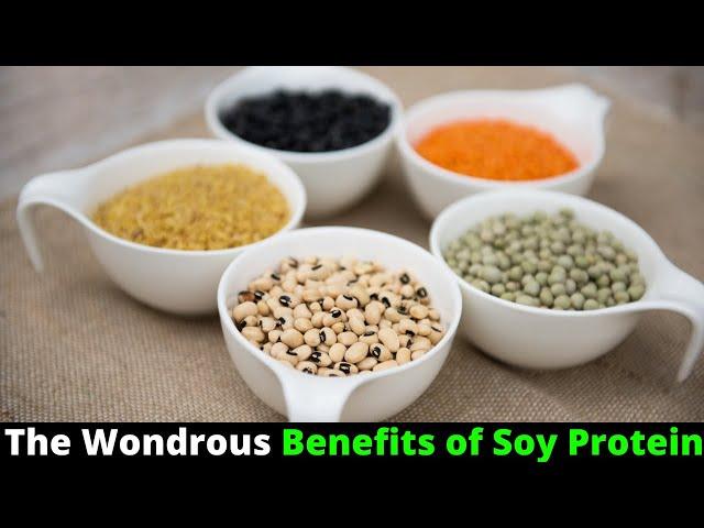 The Wondrous Benefits of Soy Protein