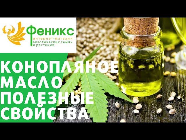 КоноПляное масло - полезные свойства