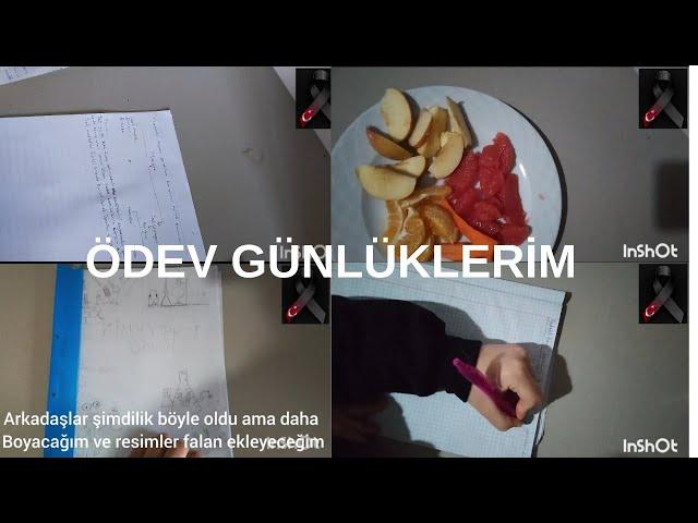 Merhaba YouTube l ödev günlüklerim l Sessiz vlog l ZEYNEP S DİARY