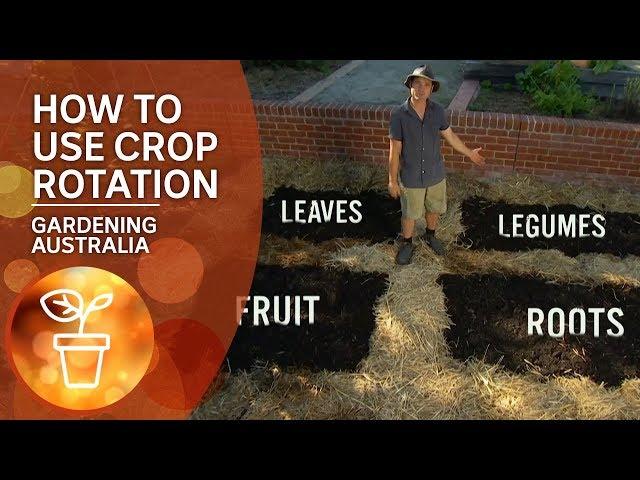 How to use crop rotation