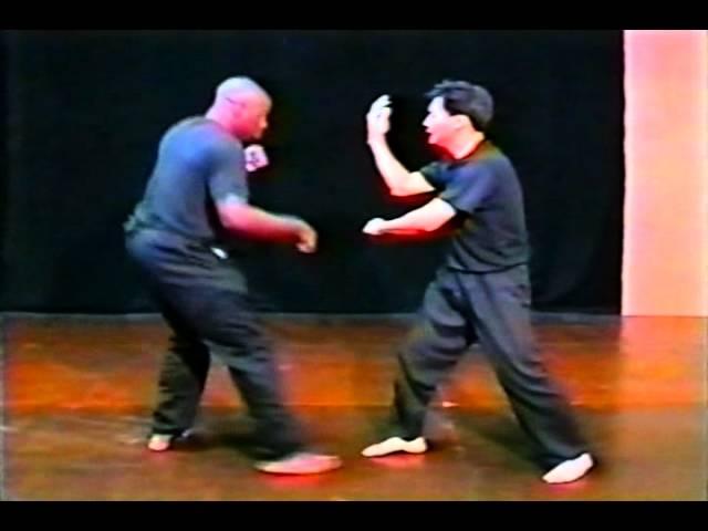 Pak Mei Kung Fu ~ Master Man Kwong Fong 1995