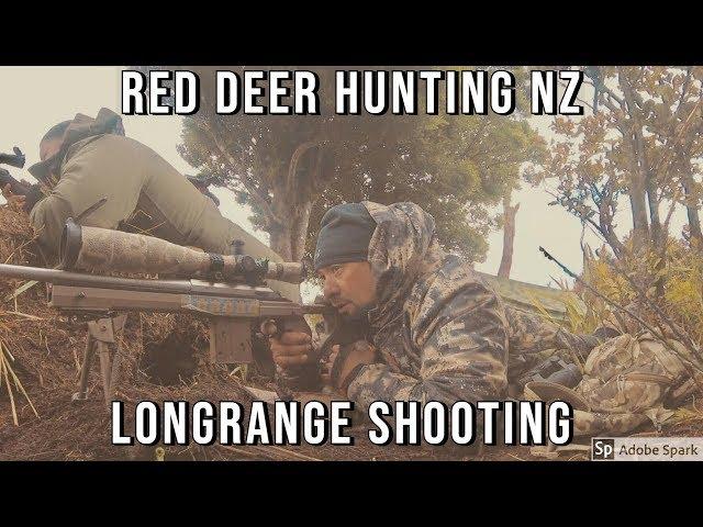 Red Deer Hunting - Ruahine Ranges Oct 2018