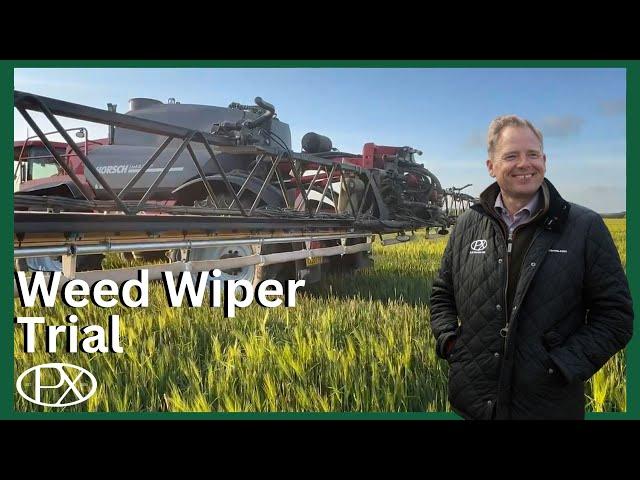 Weed Wiper Trial: Sprayer Mishaps & Open Day Prep at P.X Farms!