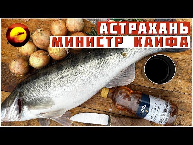 Астрахань! МИНИСТР КАЙФА / Рыбалка, Отдых, Кулинария