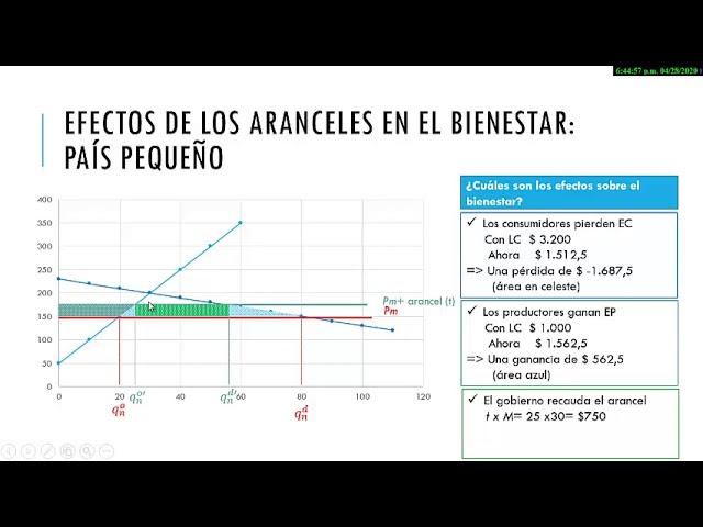 Unidad 6. Aranceles. Efectos en el bienestar. Parte 3 de 3 (TCFI)