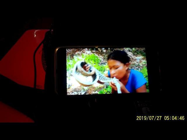 Eatable & Uneatable Ch : Video 1-Why People Eat Snakes But Don't Eat  Rats Filmed With ACE