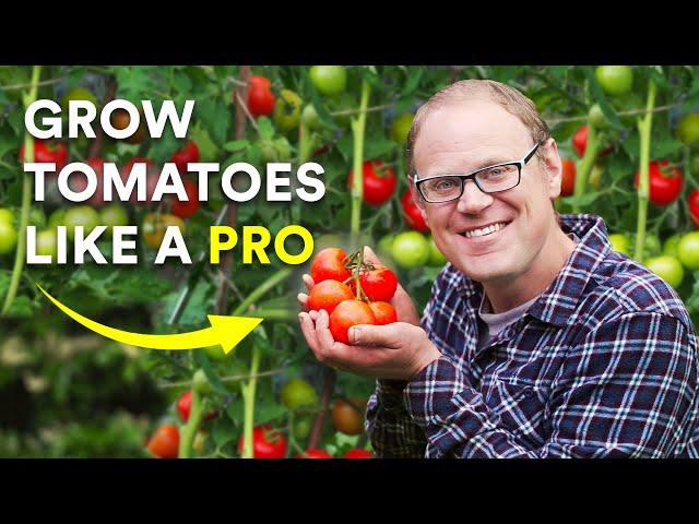 5 Secrets to Growing Amazing Tomatoes (That Really Work)