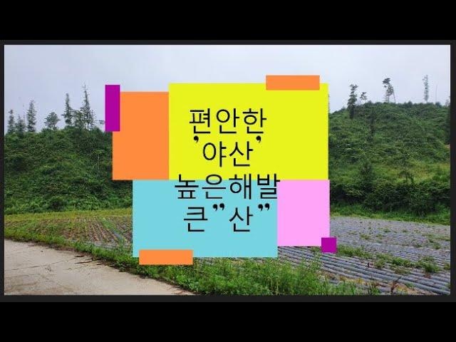 편안한 야산/동네야산/큰임야/강원도임야/큰산/15만평(정선임계부동산)