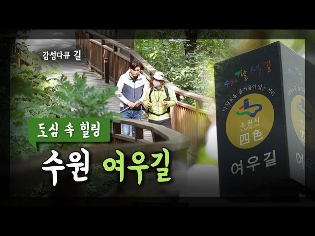 아나운서 김일중의 감성다큐 길 [ 도심 속 힐링 수원 여우길 ]