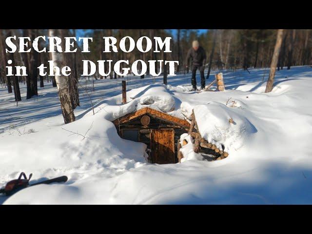 ALEX WILD dugout life:  the SECRET ROOM is hidden behind the carpet. My FOREST BUNKER PART 23