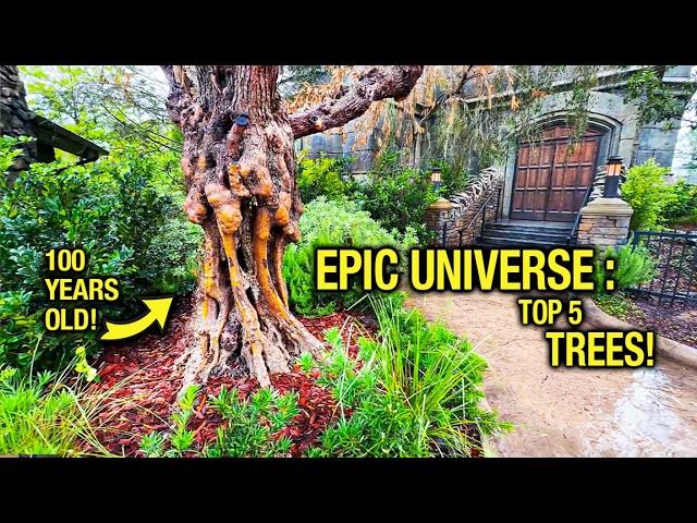 Top 5 Trees Hidden in EPIC UNIVERSE!