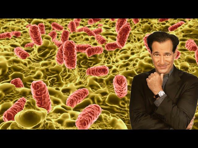 The Produce Linked to a New Salmonella Outbreak
