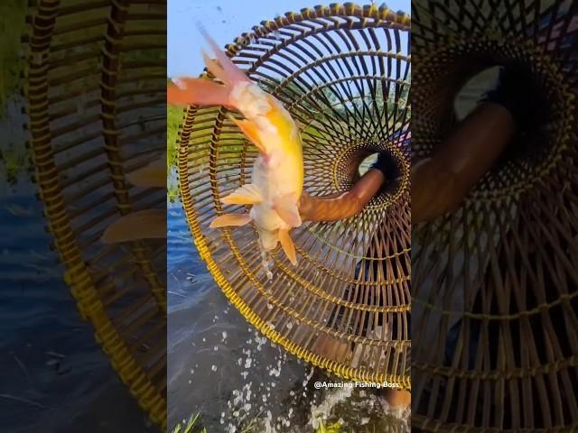 Amazing Fishing  Best Polo Jumping fishing #fish_video #fishing #fish