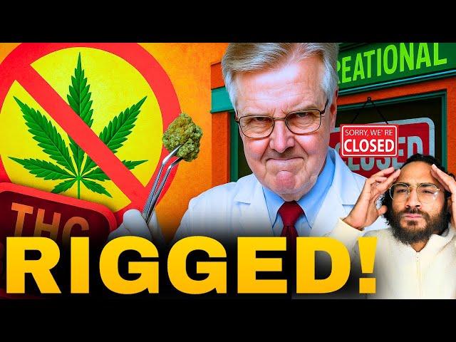 They KILLED THC and BANNED Home Grows… to BOOST the CARTELS?! 