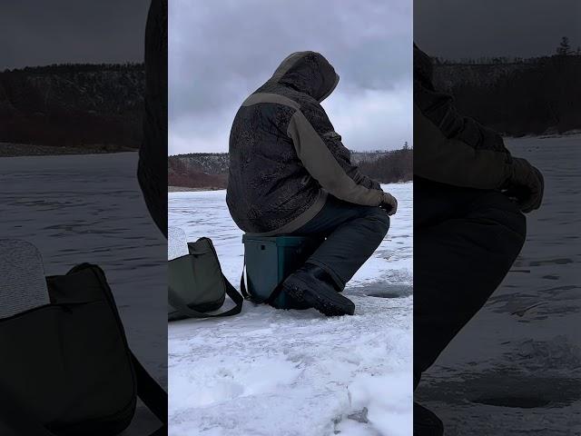 Когда пробыл на рыбалке 3 суток и ничего не поймал  #юмор #шутки #рыбалка #fishing #природа #тайга