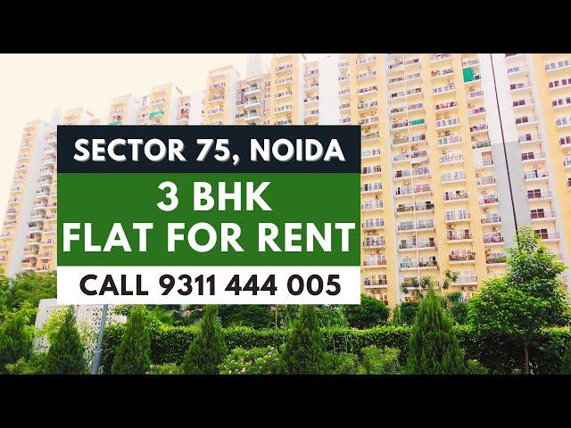 Flats for rent in Central Noida | 3 BHK Apartment for Rent in Noida