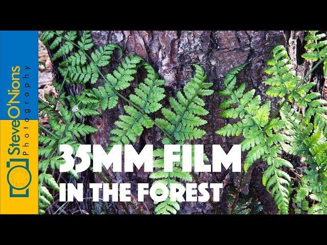 Landscape Film Photography - Out and About with 35mm Film