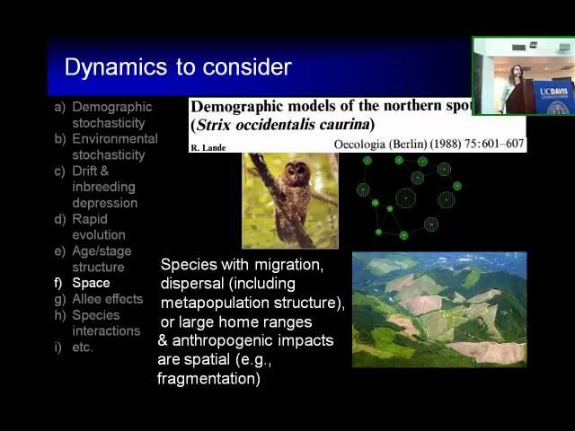 Considerations for Modeling the Dynamics of Small Populations