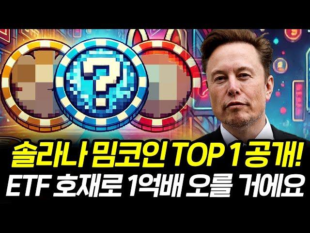 솔라나 밈코인 TOP1공개! ETF호재로 1억배 상승합니다