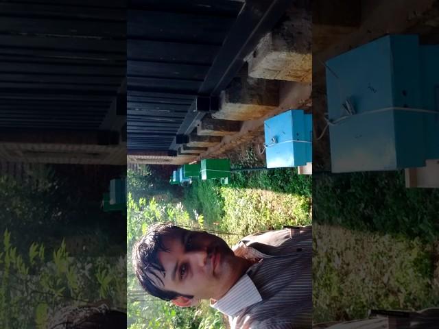 Bee farm at coorg