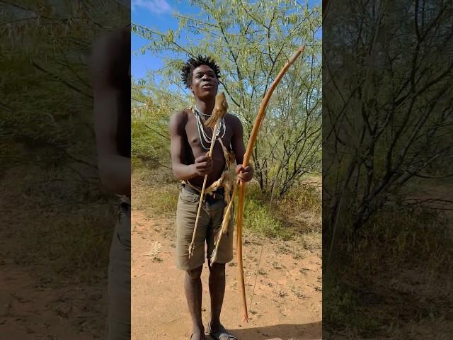 The Bushman hunters hunting in Africa, #trending #wildlife #viralvideo