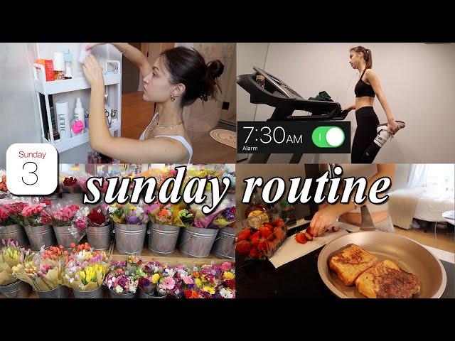 PRODUCTIVE SUNDAY RESET VLOG // organizing, grocery shopping, & deep cleaning