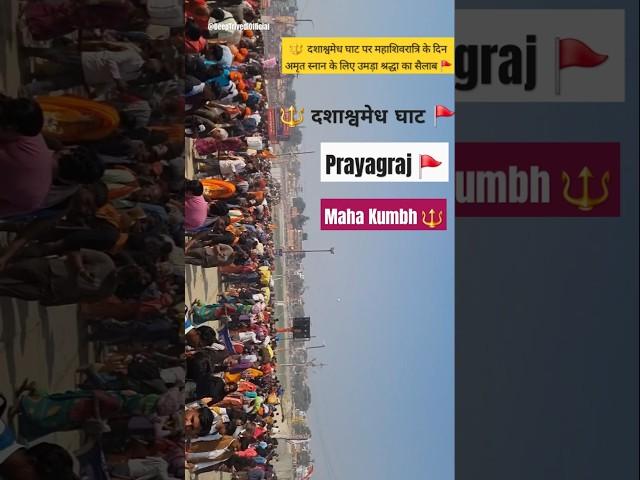 MahaKumbh  Prayagraj  #shorts #mahakumbh2025 #kumbh #prayagraj #mahakumbh #prayagrajkumbh #love