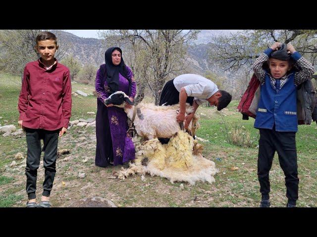 With a nomadic woman on an extraordinary day! ️ | Washing sheep wool, a real life story 