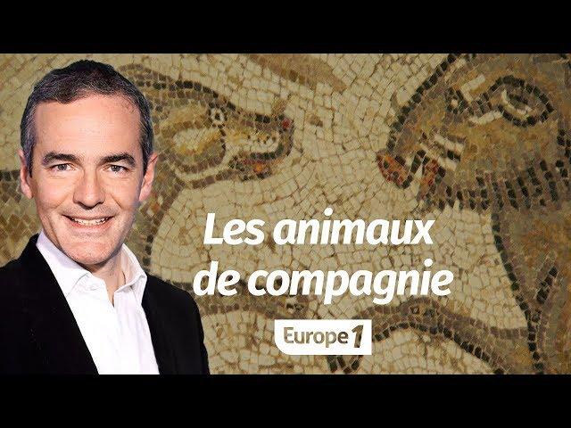 Au cœur de l'Histoire: Les animaux de compagnie de l'Antiquité à nos jours (Franck Ferrand)