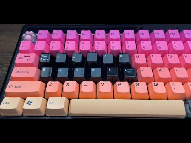 Sound test ceramic keycaps with lubed switch INVYR HOLY PANDA,Kailh Box,Akko Piano,Purple Panda