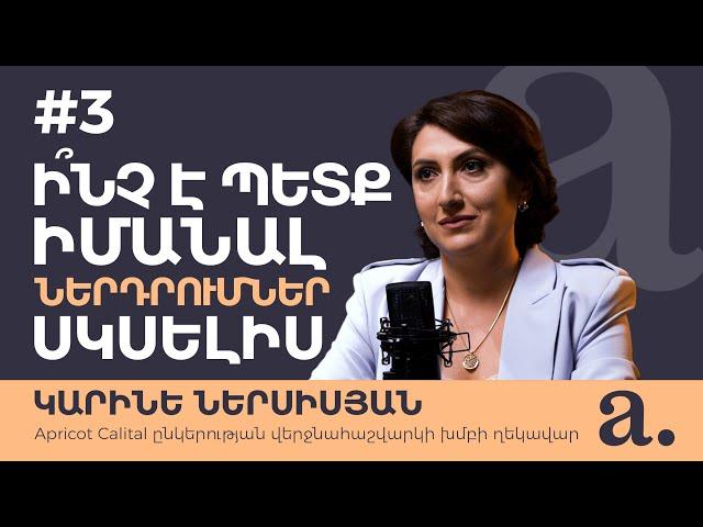 #3 Apricot talks խելացի ներդրողի փոդքասթ | Կարինե Ներսիսյան | Ի՞նչ է պետք իմանալ ներդրումներ սկսելիս