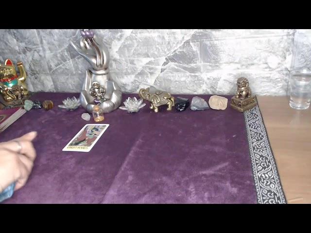 Tarot en Vivo