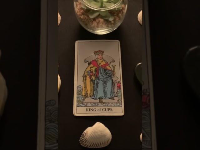 “I'm serious” | DM to DF | A message from your person | Divine Masculine love message