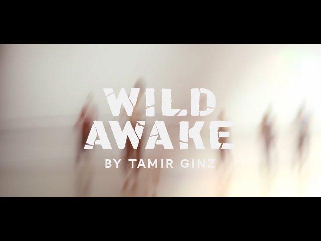 "Wild Awake" By Tamir Ginz - official trailer