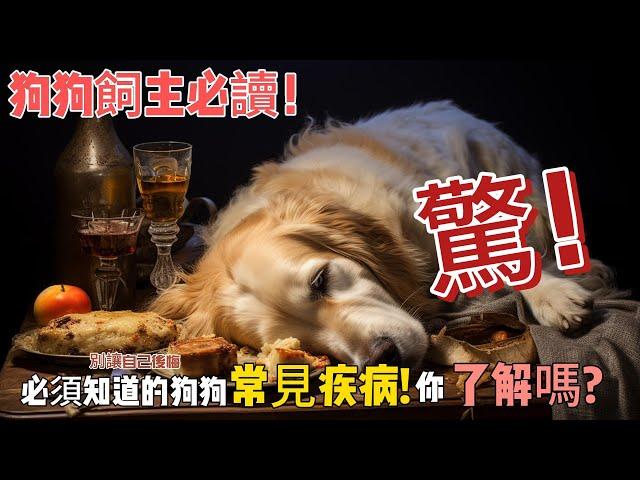 狗狗飼主必讀: 5種狗狗常見的健康問題