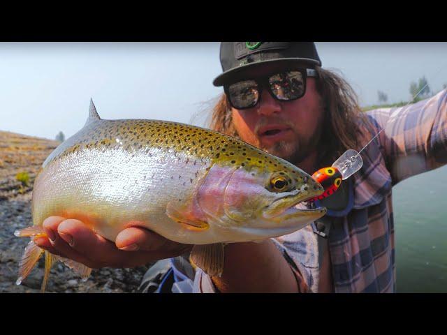 BEGINNERS Guide To Successful TROUT Fishing - 3 Detailed Trout Tactics