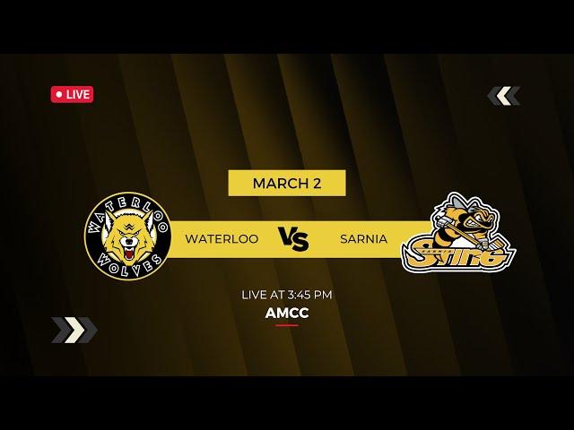 Waterloo Wolves vs. Sarnia Junior Sting (2025.03.02)