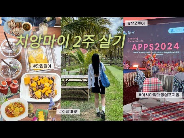 태국여행vlog｜치앙마이 2주살기 ep.1｜주말 마켓 뿌수기, 아시아 약대생 심포지엄, 대회 파이널 진출,  MZ 핫플 점령, 정보 싹 모아옴