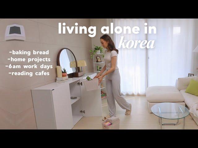 Living Alone in Korea  cabinet organizing, making korean sweet garlic bread + cozy book cafes