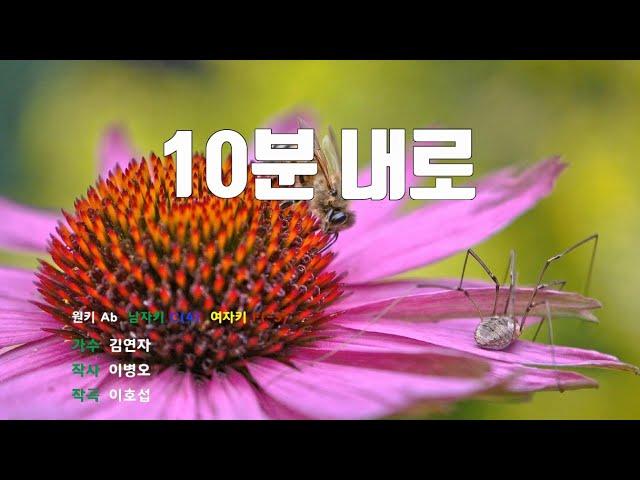 [은성 반주기] 10분내로 - 김연자