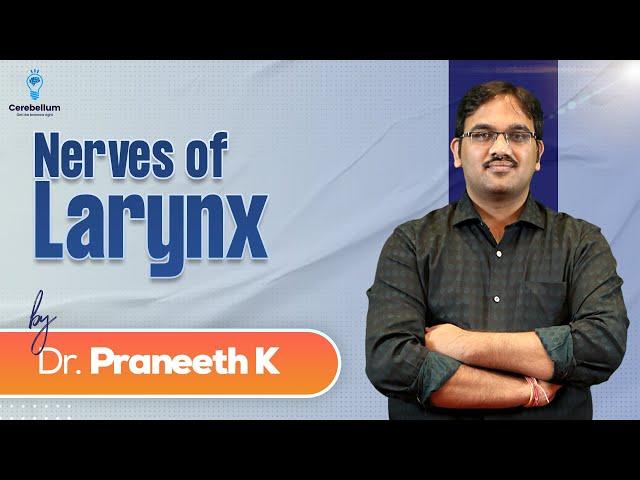 Nerves of Larynx By Dr. Praneeth K | Cerebellum Academy