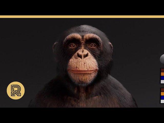 CGI VFX & Animation Breakdown: "Chester" by PIXL VISN | MEDIA ARTS ACADEMY | The Rookies